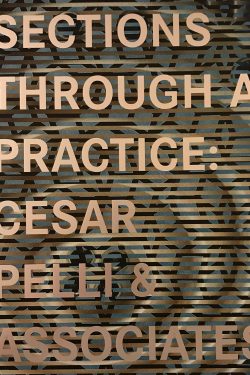 Book cover of "Sections Through a Practice"