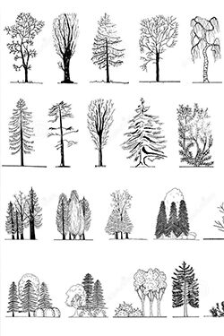 Architectural drawing tutorial 03 How to draw trees