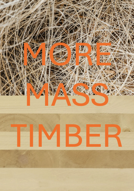 More Mass Timber Web 4