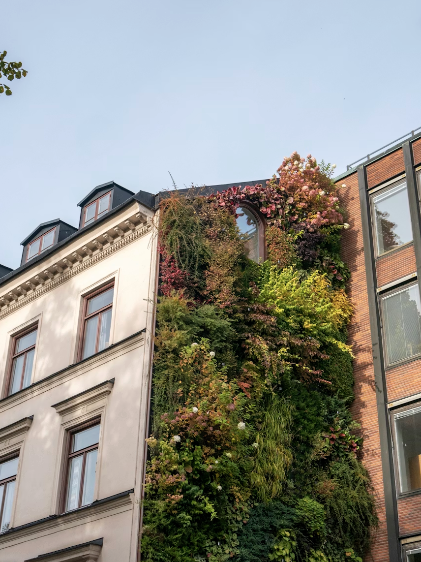 Turn Your School Green! Sustainable Architecture at the Skyscraper Museum